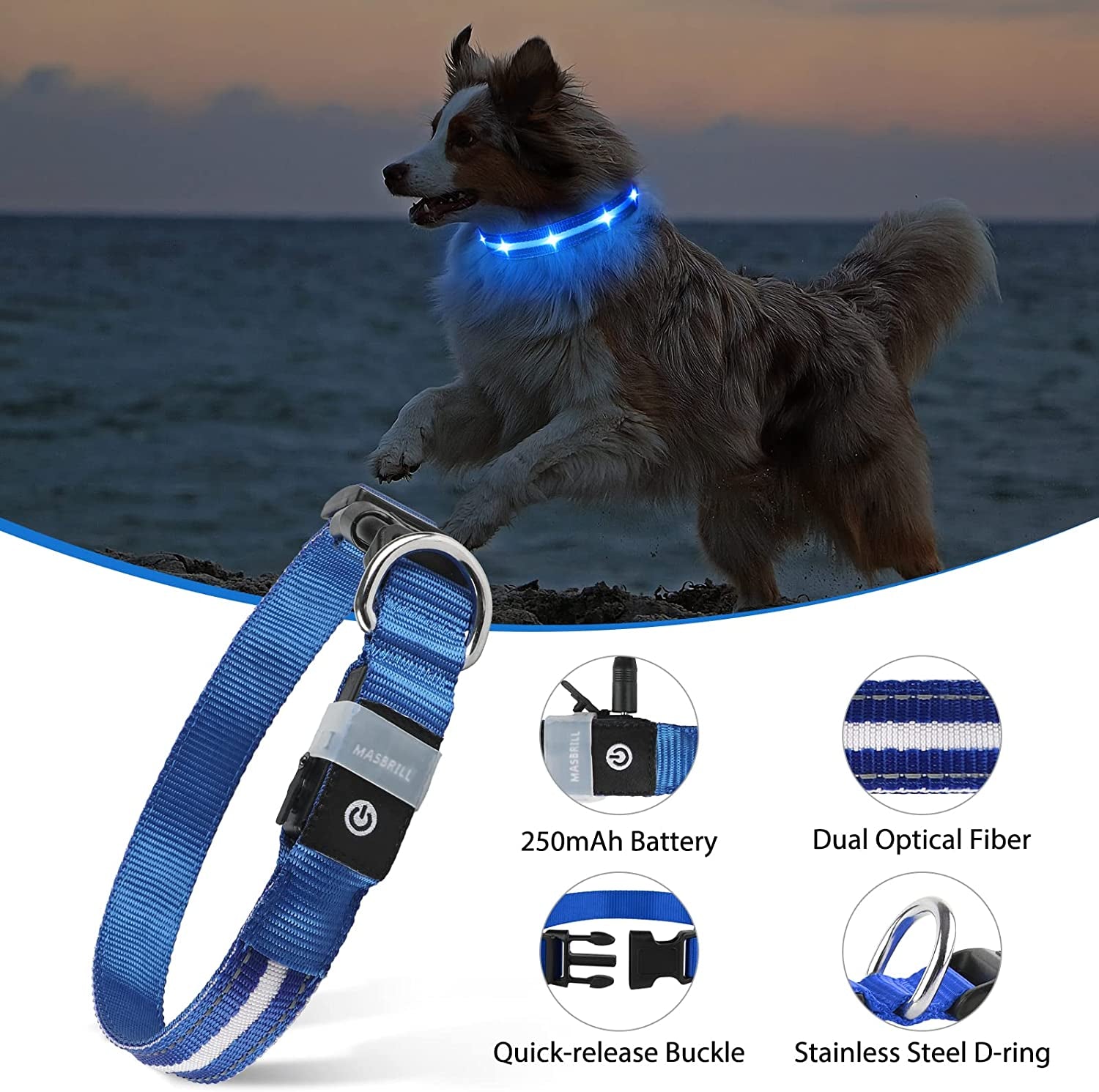 Led Dog Collar - Rechargeable, Water-Resistant, Flashing, Glowing, Night Walking Collar for Dogs - Blue, Size M (19.69*0.98Inch)