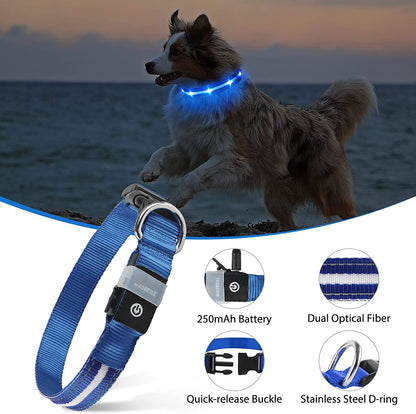 Led Dog Collar - Rechargeable, Water-Resistant, Flashing, Glowing, Night Walking Collar for Dogs - Blue, Size M (19.69*0.98Inch)